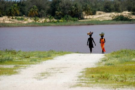 Day trip to Retba Lake and Tortoise Reserve from Pointe Sarène