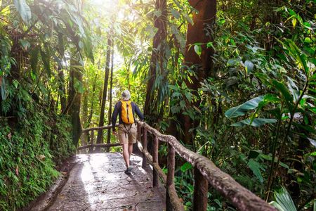 Guided Khao Yai National Park tour from Bangkok