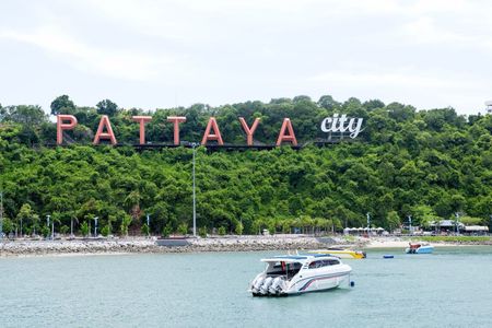 Guided Coral Islands, Koh Laan, Pattaya and Sanctuary of Truth tour
