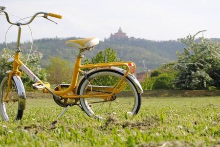 Bologna panoramic tour by bike