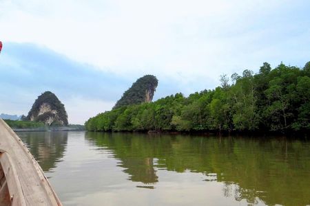 Mangrove private tour in Krabi by longtail boat