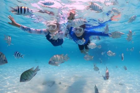Blue Lagoon snorkeling and Tegenungan waterfall visit 1-day tour