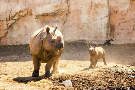Terra Natura tickets