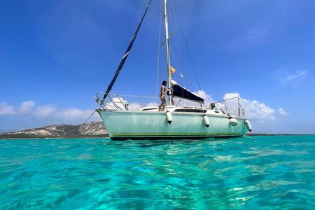Asinara full day sailboat excursion from Stintino