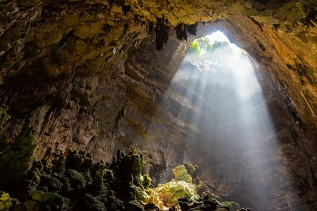 Alberobello, Castellana Caves and Polignano full-day tour from Bari