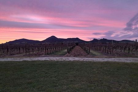 Alghero wine and food experience in a winery