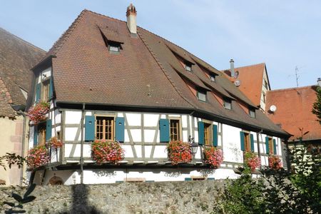 Wine road full-day tour to four quaint villages with wine tasting