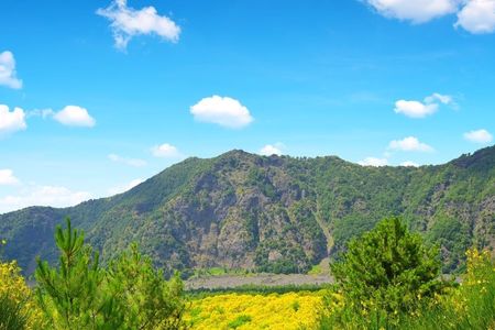 Vesuvius Easy Tour with Transfer from Naples