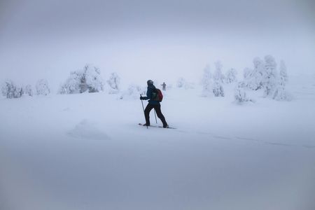Snowshoeing Guided Tour