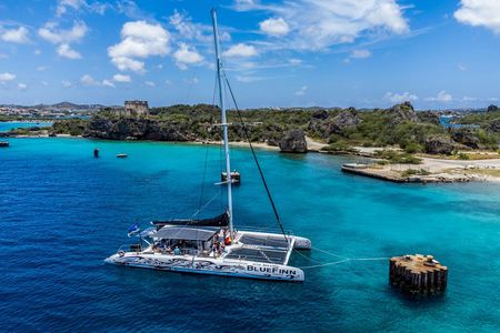 3-in-1 snorkeling trip with BlueFinn catamaran