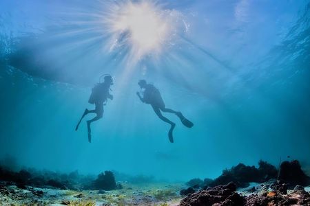 Half-day diving excursion in the Protected Marine Area of Tavolara