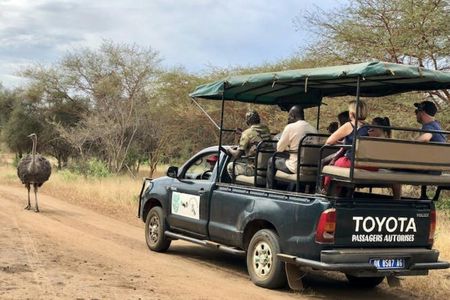 Bandia safari and Baobab adventure from Pointe Sarène