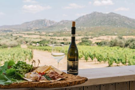 Guided winery tour and tasting in Olbia