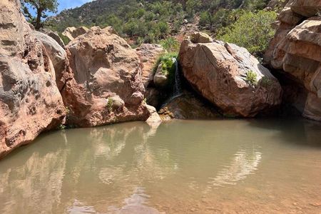 Half-day guided tour to berber Oasis with short trekking