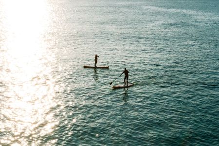 Paddleboard taster and guided tour in Newquay