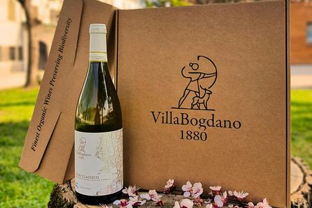 Villa Bogdano 1880 Guided Tour with Wine Tasting
