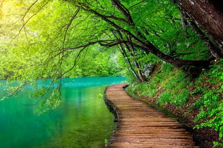 Plitvice Lakes National Park tour from Split