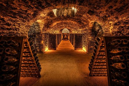 Cellar visit at the Champagne Boizel house and Millésime tasting