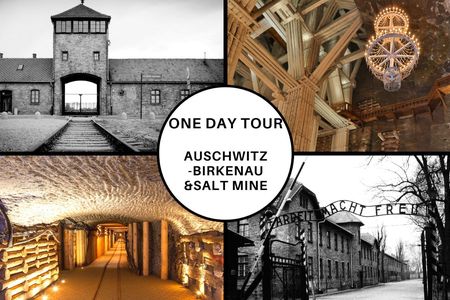 Auschwitz Birkenau and Wieliczka Salt Mine tour with transfer