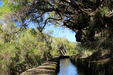 Full-day guided hike along the Levada das 25 Fontes