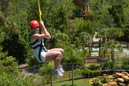 Gator Zipline and Gatorland
