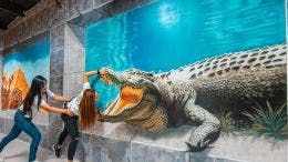 3D World Selfie Museum Dubai