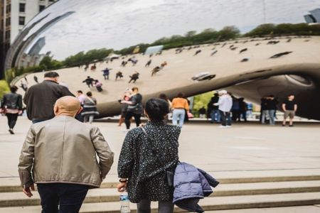 Best of Chicago Guided tour with Skydeck and river cruise