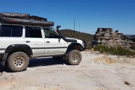 Blue Mountains full-day guided tour with lunch