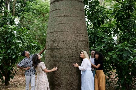 Adelaide Botanic Garden guided tour