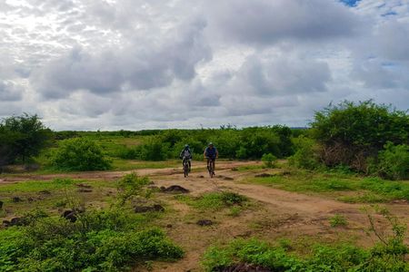 Pointe Sarene 3-hour bike tour