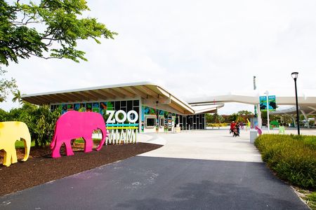 Miami Zoo tickets with transportation