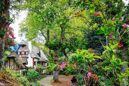 Full-day guided hike along the Levada do Caldeirão Verde