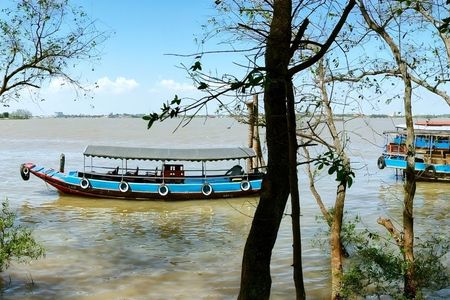 Guided tour of Cu Chi Tunnels and Mekong Delta in a small group