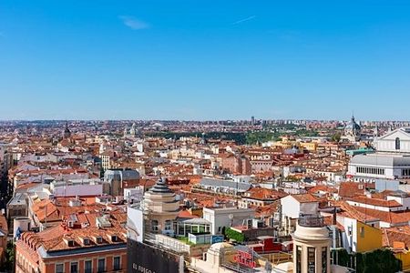 Private half-day highlights tour of Madrid with Prado Tickets