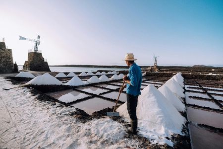 Guided tour to the Salinas de Janubio