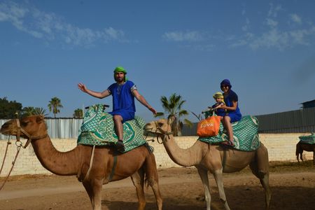 Sunset Camel Ride in Agadir With Transport, Tea, and Local Cakes