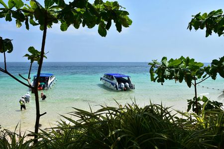 Private Speedboat Tour to Phi Phi Islands from Krabi