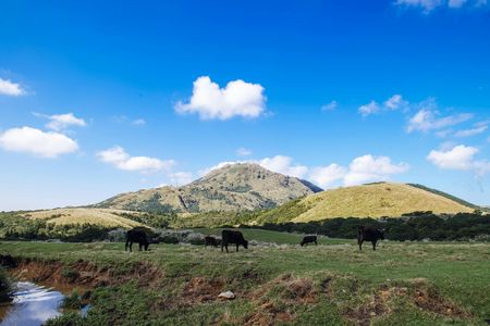 Yangmingshan and Beitou full-day tour from Taipei