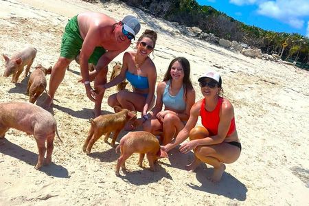 Pearl Island pigs beach adventure with lunch