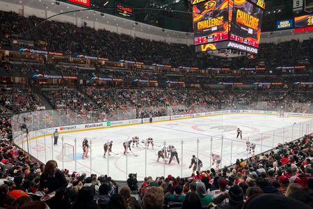 Anaheim Ducks ice hockey game ticket at Honda Center