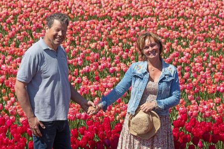 Day Trip to Keukenhof, Tulip Farm and Windmill Cruise