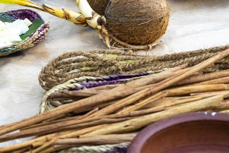 Sri Lankan agro village traditions tour from Bentota region