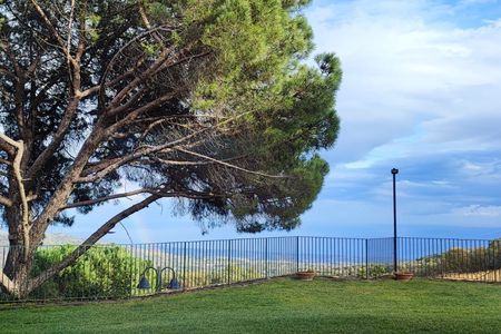 7 or 4 Wines and Food Tasting in Etna Regional Park with Winery Tour