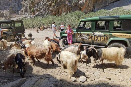 Agiofarago and Matala beach private tour