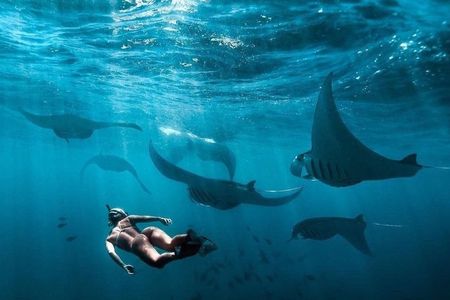Private Nusa Penida all-inclusive snorkeling adventure