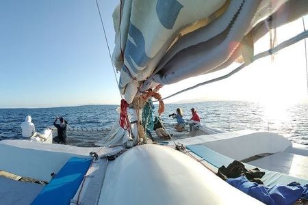 Lanzarote sunset cruise with dolphin watching
