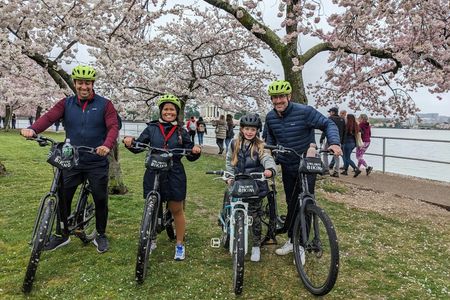Cherry Blossom Festival guided bike tour in Washington DC