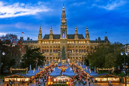 Vienna Christmas Market tour with a local