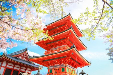 1-day tour to Kyoto and Nara Park from Osaka