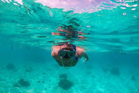Pamilacan Island guided excursion from Bohol